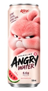 Sparkling Watermelon Juice with Protein 330ml – Angry Water